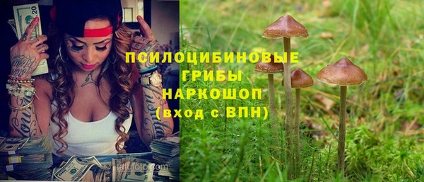 шишки Ростов