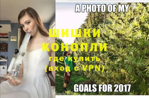 шишки Ростов