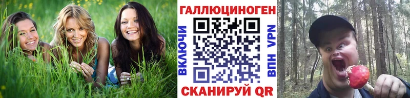 гидра ссылка  где купить   Костомукша  Галлюциногенные грибы Psilocybine cubensis 
